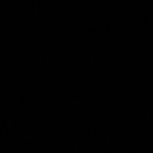 Meet your Posher, Pat